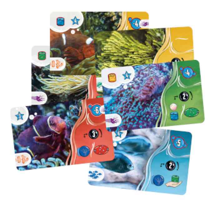 aquaria-comprar-barato-tablerum
