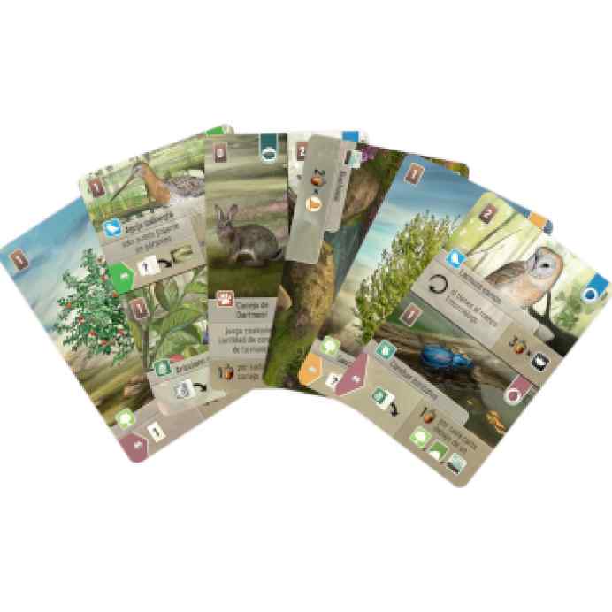 forest-shuffle-dartmoor-comprar-barato-tablerum